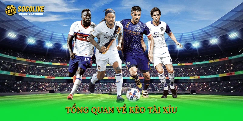 Tổng quan về kèo tài xỉu